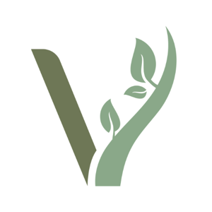 Laveo Logo