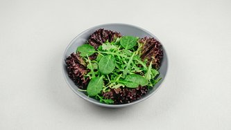Zelena mix salata