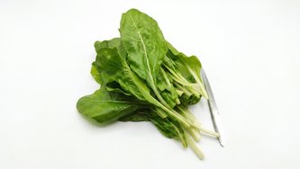 Blitva mlada