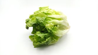 Salata kristal