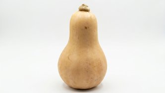 Butternut tikva